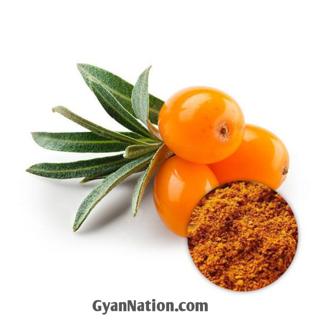 Seabuckthorn Benefits