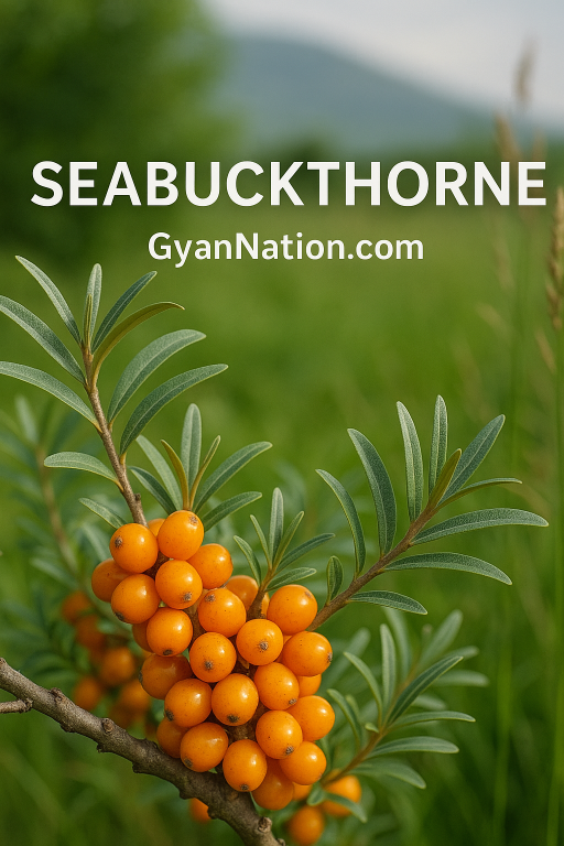 Seabackthone