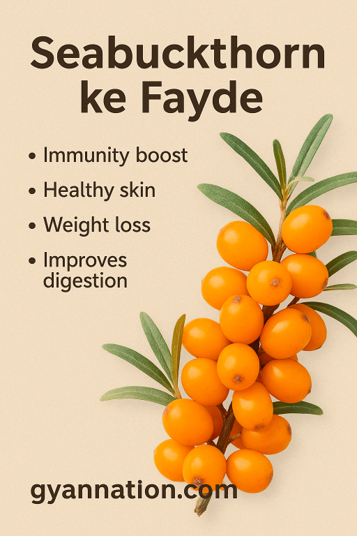 Seabuckthorn Benefits
