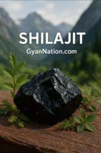 Shilajit