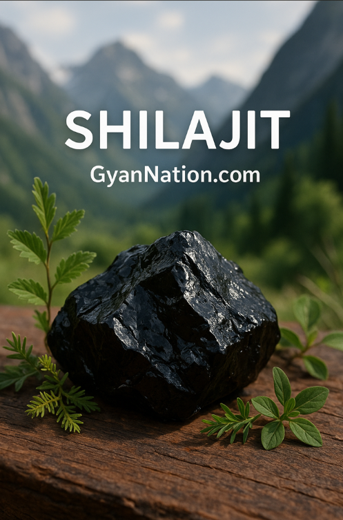 Shilajit