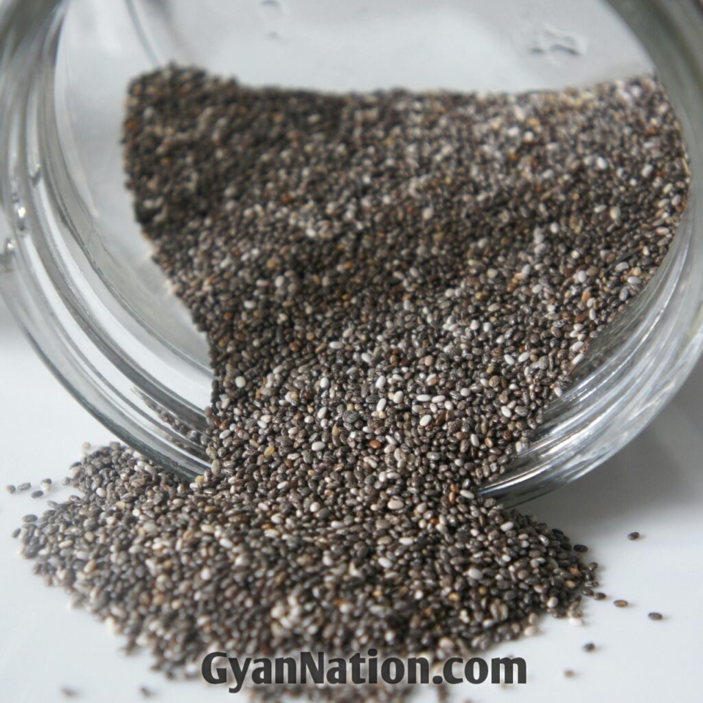 Chia Seeds Benefits